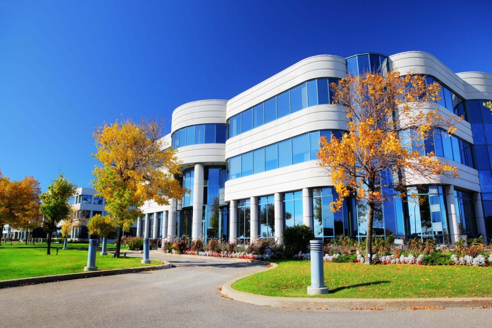 Modern office building with curved glass facade and autumn trees.
